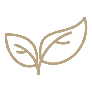 Leaf icon